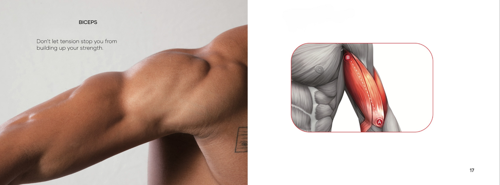 Tinyho MAX Professional Grade Massage Gun