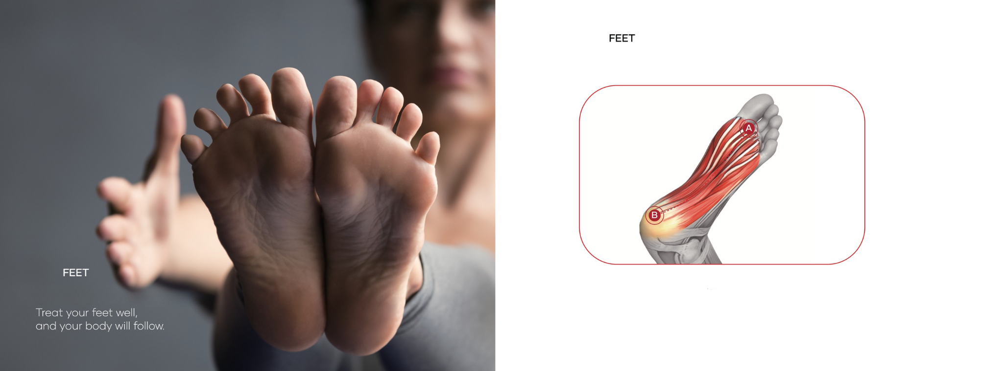 Tinyho MAX Professional Grade Massage Gun